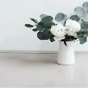 Сюнюшева Екатерина Сергеевна